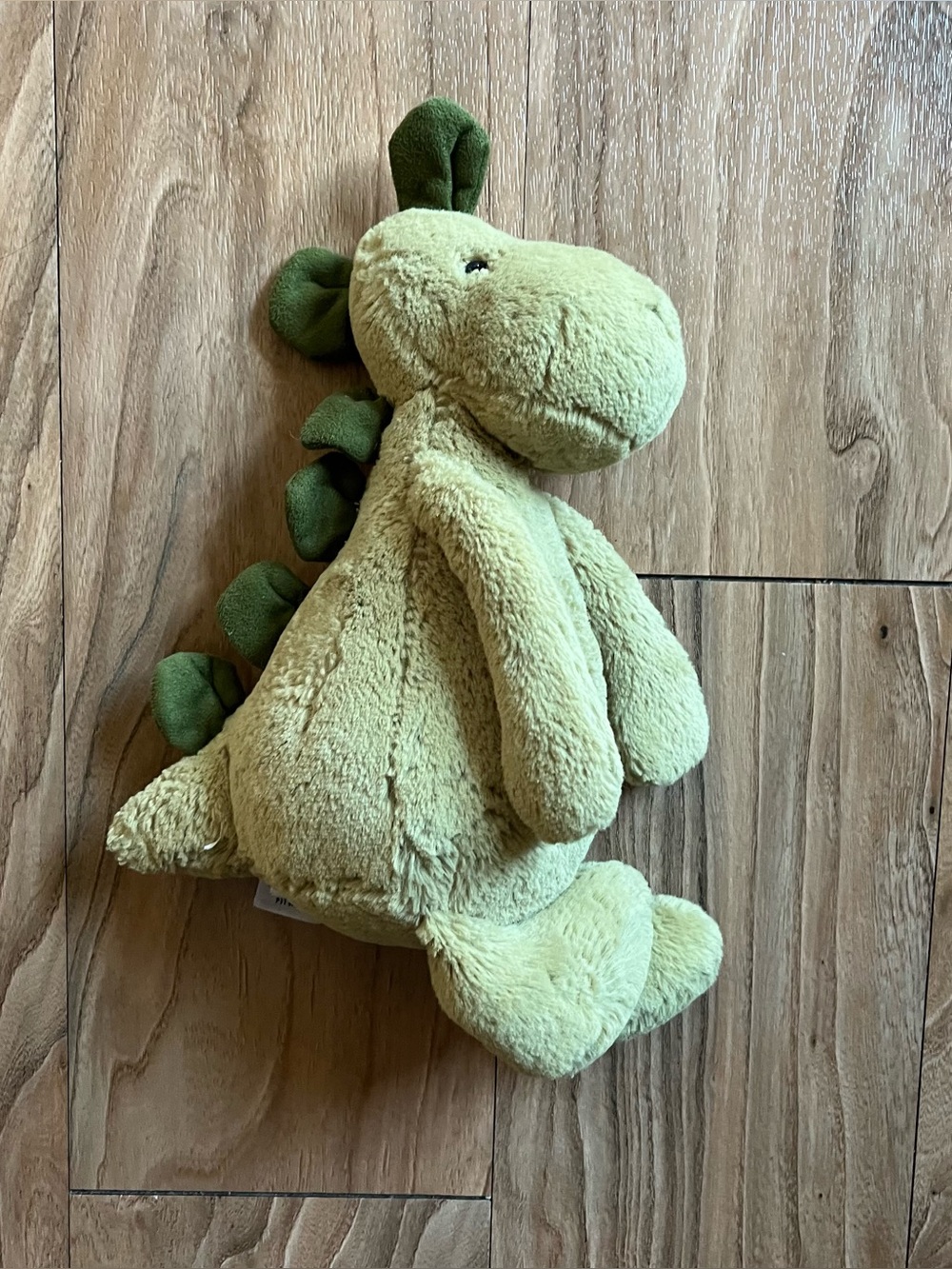 Jellycat Bashful Dinosaur 12" stuffed animal